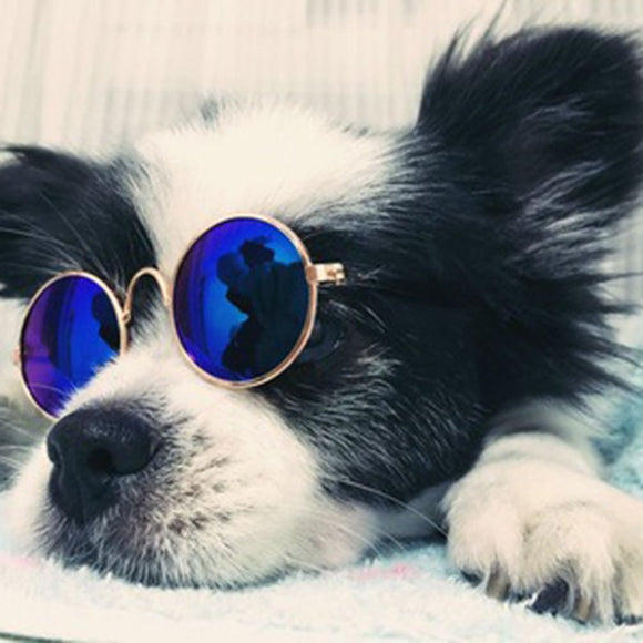 1pcs Lovely Pet Cat Glasses Multicolor For Pet Products Photos Props Accessories Cool Pet Glasses Small Dogs Puppy Cat Sunglasse