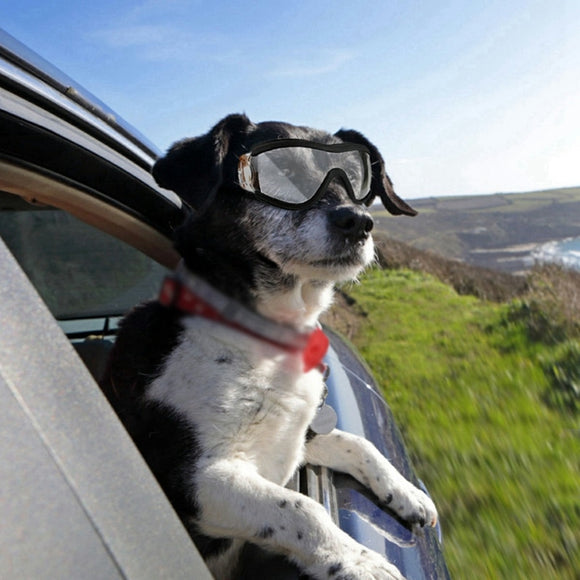 Fashion Pet Dog glasses medium Large Dog pet glasses Pet eyewear waterproof Dog Protection Goggles UV Sunglasses