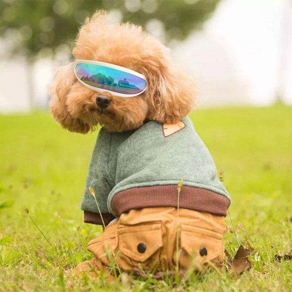 MICATALE Adjustable Pet Dog Sunglasses Small Puppy Cat Fashion Goggles Waterproof Windproof Eye Wear Protection UV Sun Glasses