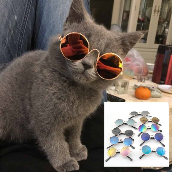 1PCs Lovely Pet Cat Glasses Dog Glasses Pet Products For Little Dog Cat Eye-Wear Dog Sunglasses Photos Pet Accessories