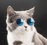 1pc 8*7.5cm Lovely Pet Cat Glasses Dog Glasses Pet Products For Little Dog Cat Eye-Wear Dog Sunglasses Photos Pet Accessories